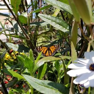 Meet your Posher, Bianca